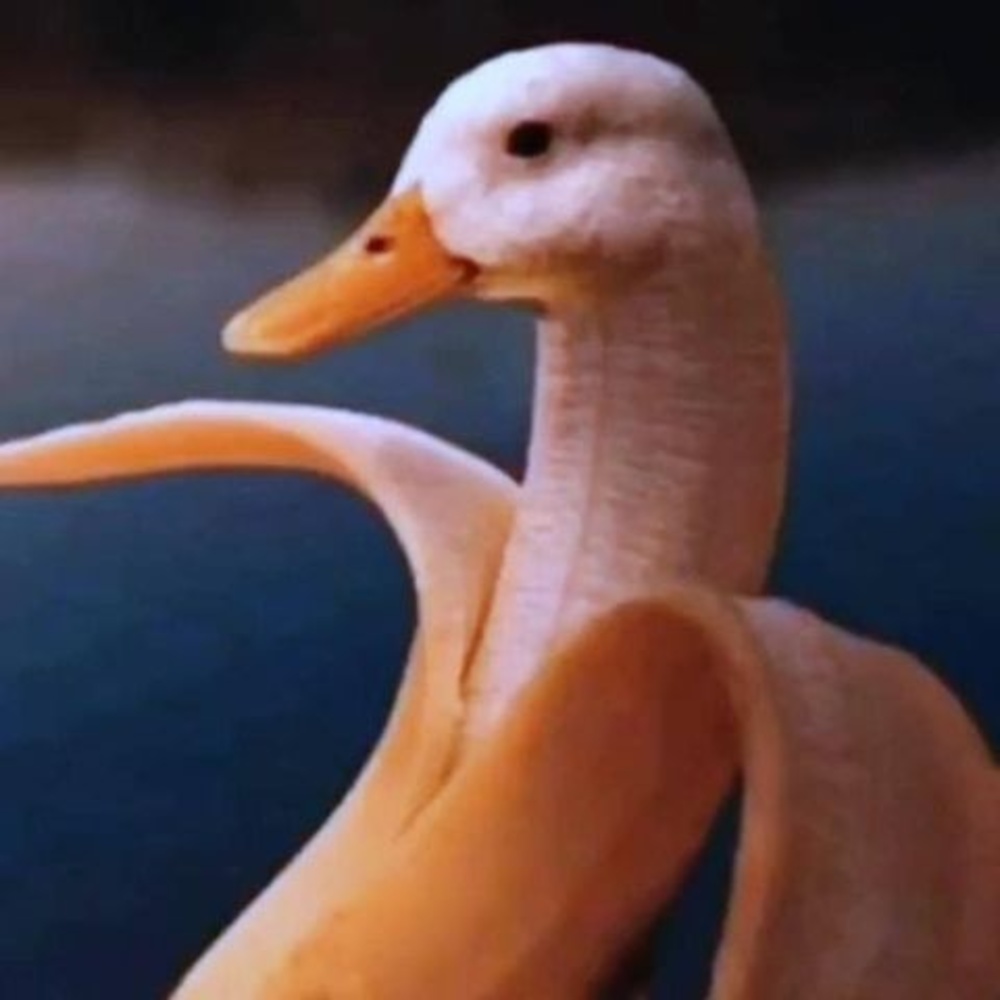 Meet your Posher, Joe